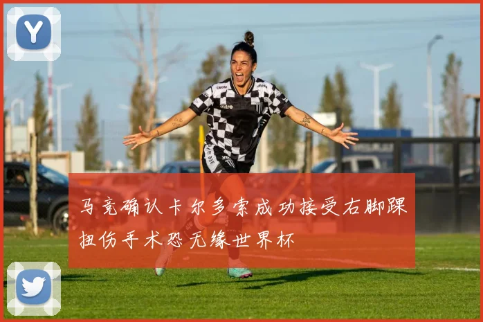 马竞确认卡尔多索成功接受右脚踝扭伤手术恐无缘世界杯