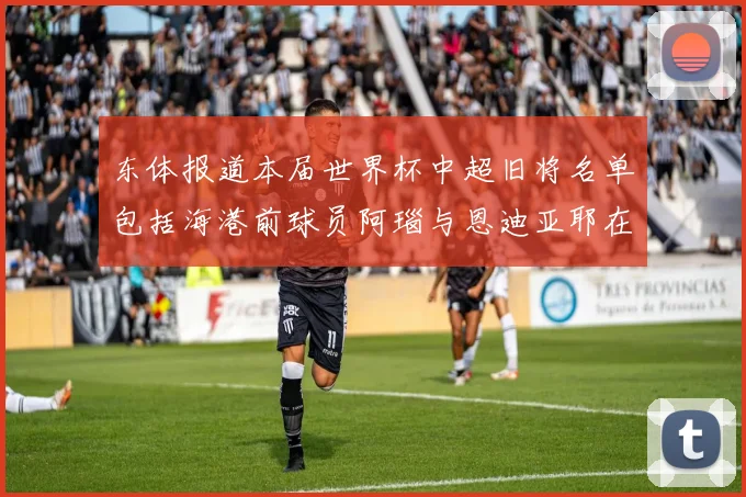 东体报道本届世界杯中超旧将名单包括海港前球员阿瑙与恩迪亚耶在内的10位球员